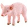 Schleich FARM WORLD Biggetje 13783