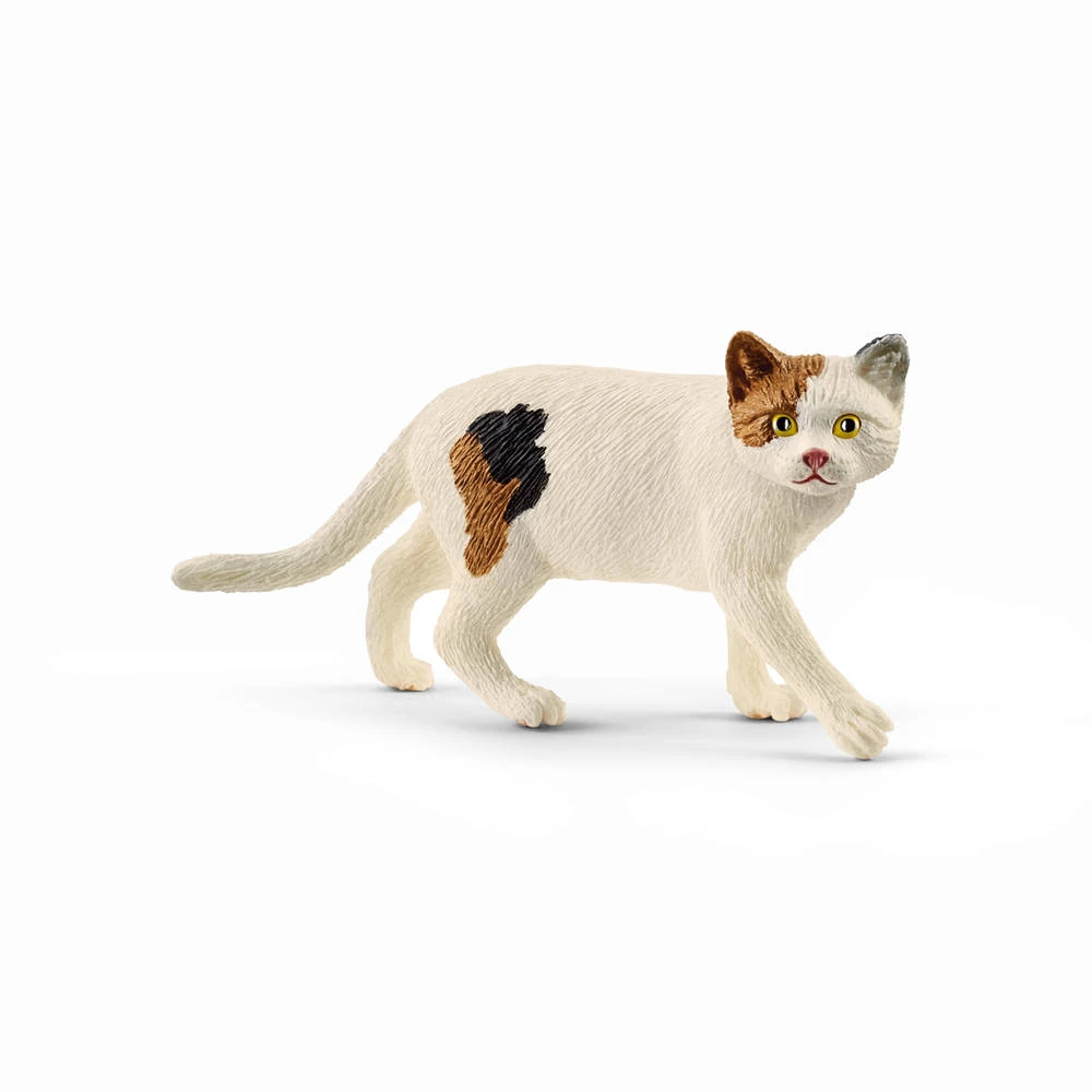 schleich FARM WORLD Amerikaanse korthaar kat 13894 Schleich FARM WORLD Amerikaanse Korthaar Kat 13894 -Speelgoedseries Winkel 1982182 afbbd65f